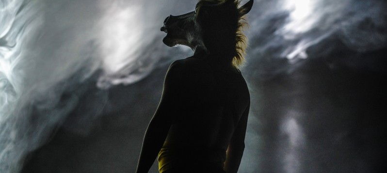 Bühnenaufnahme des Stückes «Helliot». Auf einer düsteren, kaum beleuchteten Bühne mit hellen Nebelschwaden steht schemenhaft eine Person mit einer Pferdekopfmaske. Die schattige Silhouette ist nach hinten links abgewandt. 